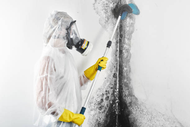 Best Commercial Mold Inspection  in Parker, FL